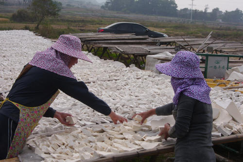 做饭的一定要知道常用淀粉的区别,大厨讲解淀粉的种类和用途