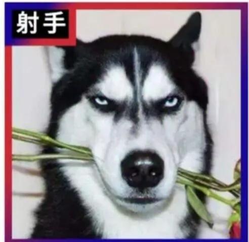 闺蜜基友开黑头像|空白的纸上，有过泪的划痕