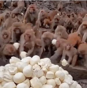 中国人不出门全世界会怎样,中国去哪的机票便宜