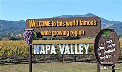 除了奔富还有什么硬通货,推荐几款物美价廉的澳洲红酒