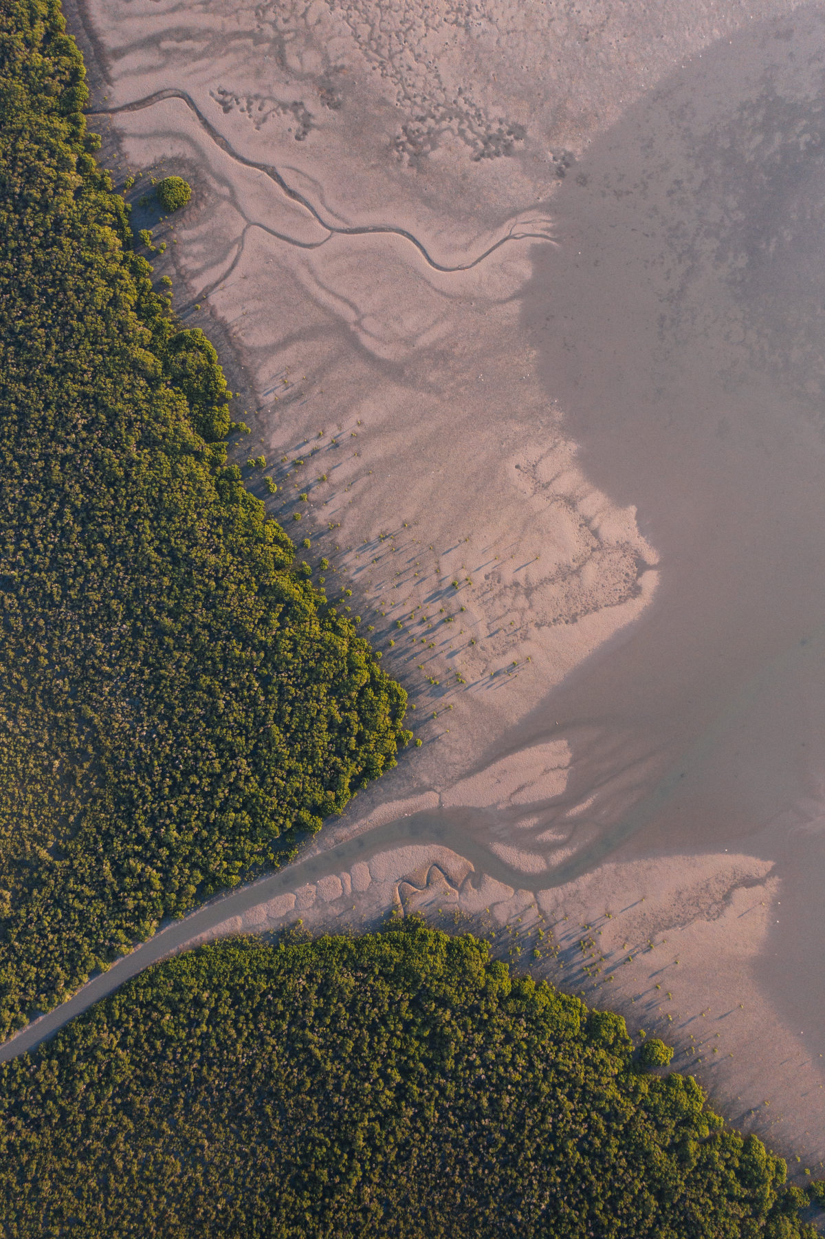 企业发展和个人规划,企业团队建设与管理