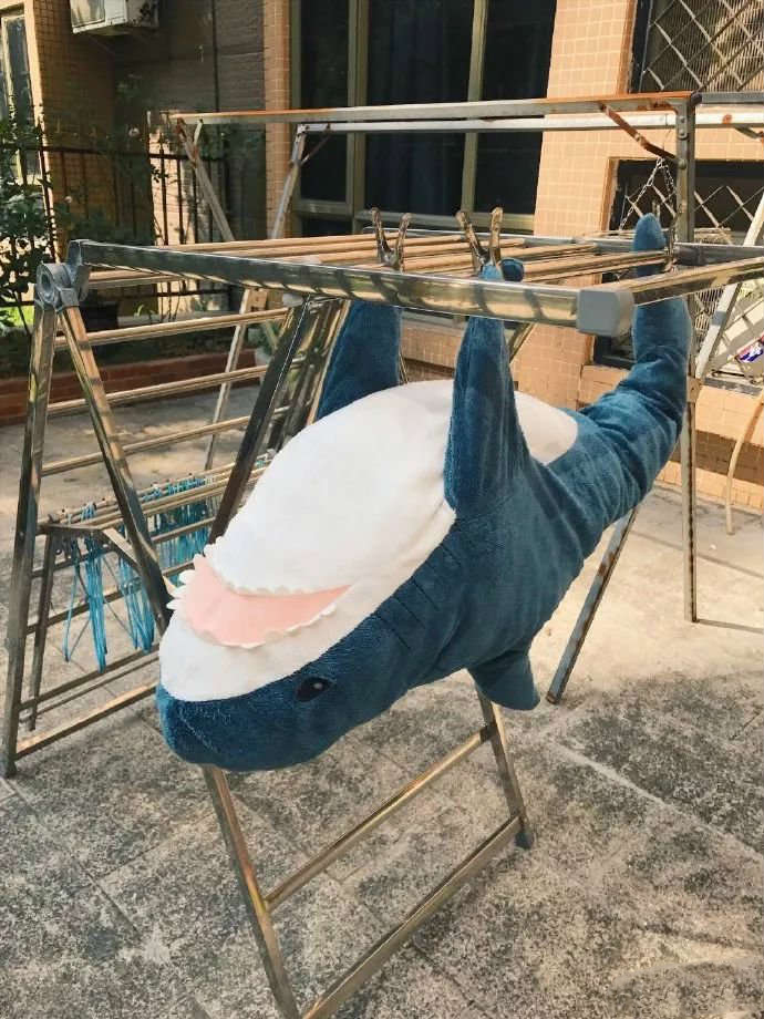 平胸女孩高级感秋冬,平胸女孩盘点