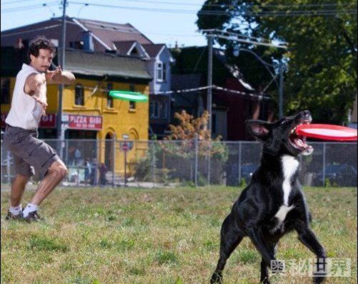 世界上最真实的小宠物图片,世界上最牛的小宠物图片