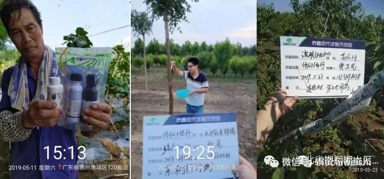 细菌感染不用吃药能好吗,细菌感冒不用吃药自愈