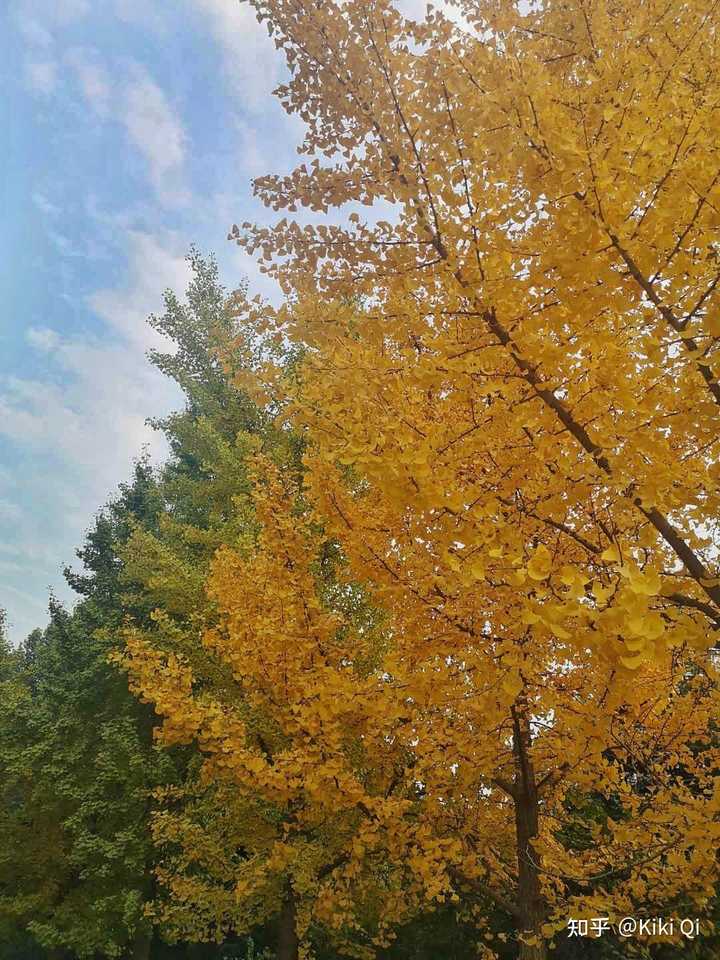 郑州有什么好吃的美食,郑州有什么好玩的地方情侣