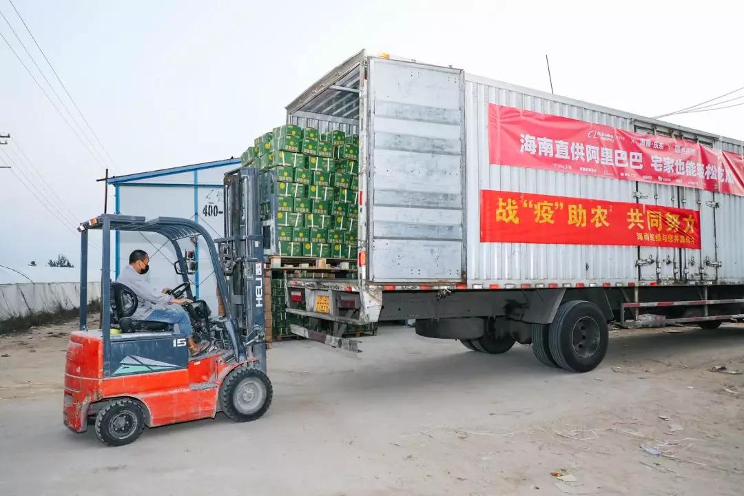 85万人确诊，美国疫加剧，网友赞马云是中国的马云，世界的马云