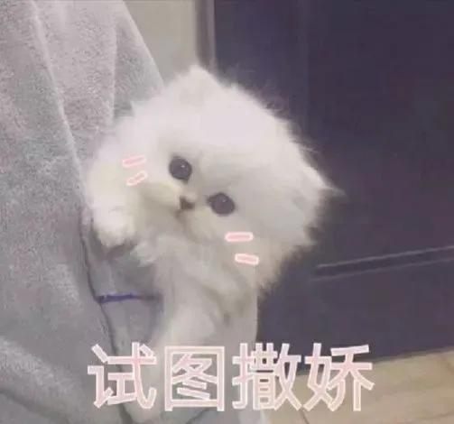 我就是个一无是处的废物表情包,表情包我就是小气