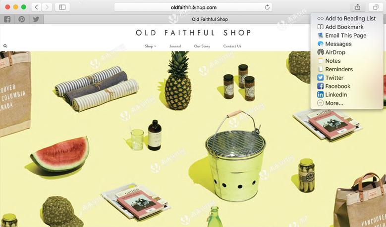 safari浏览器支持windows系统吗,safari浏览器插件mac