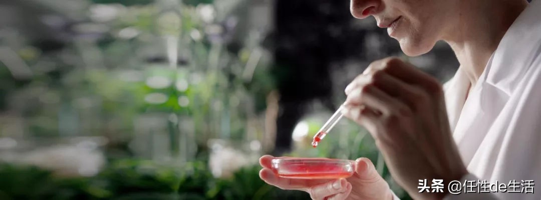 去德国该买什么化妆品,去德国不能带什么东西