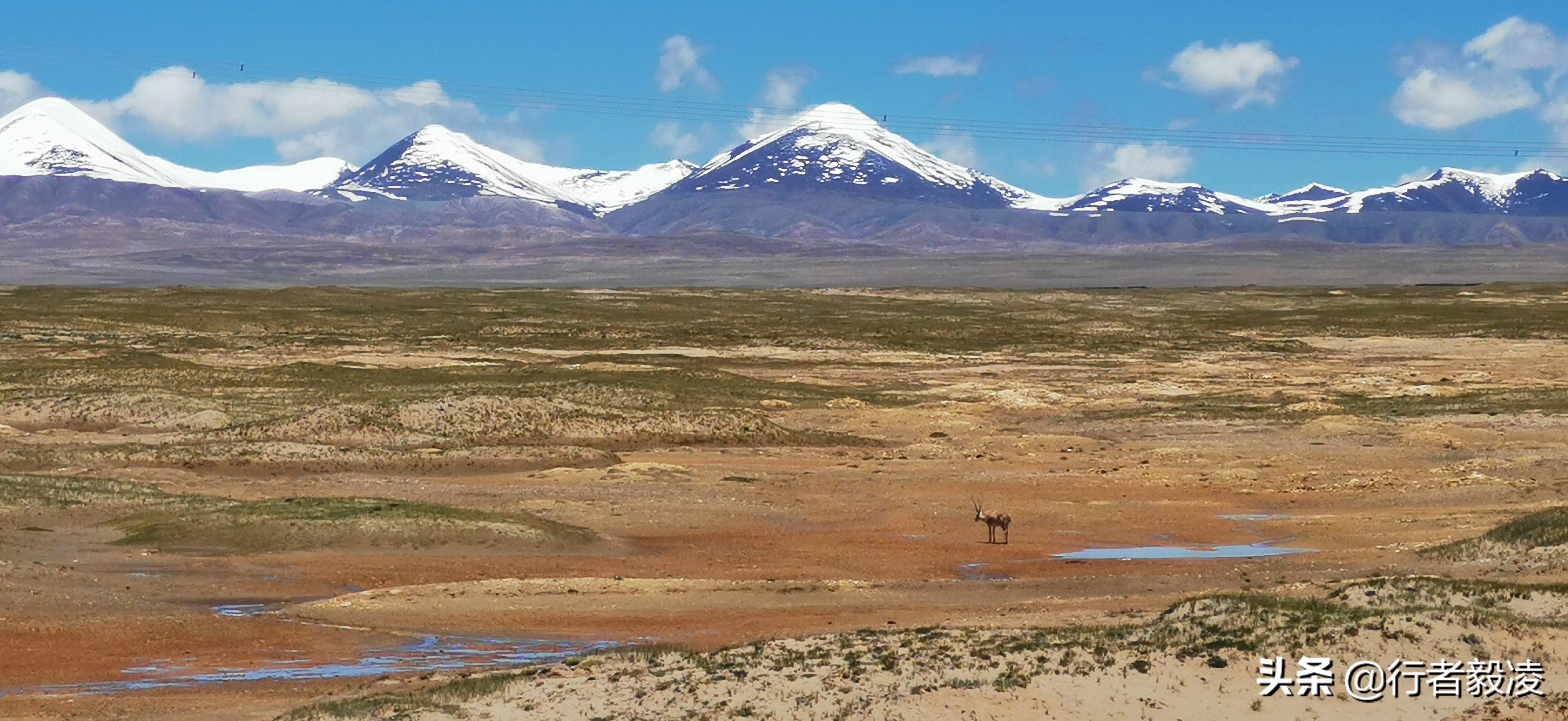 请教青藏线自行车骑行攻略,青藏高原问答