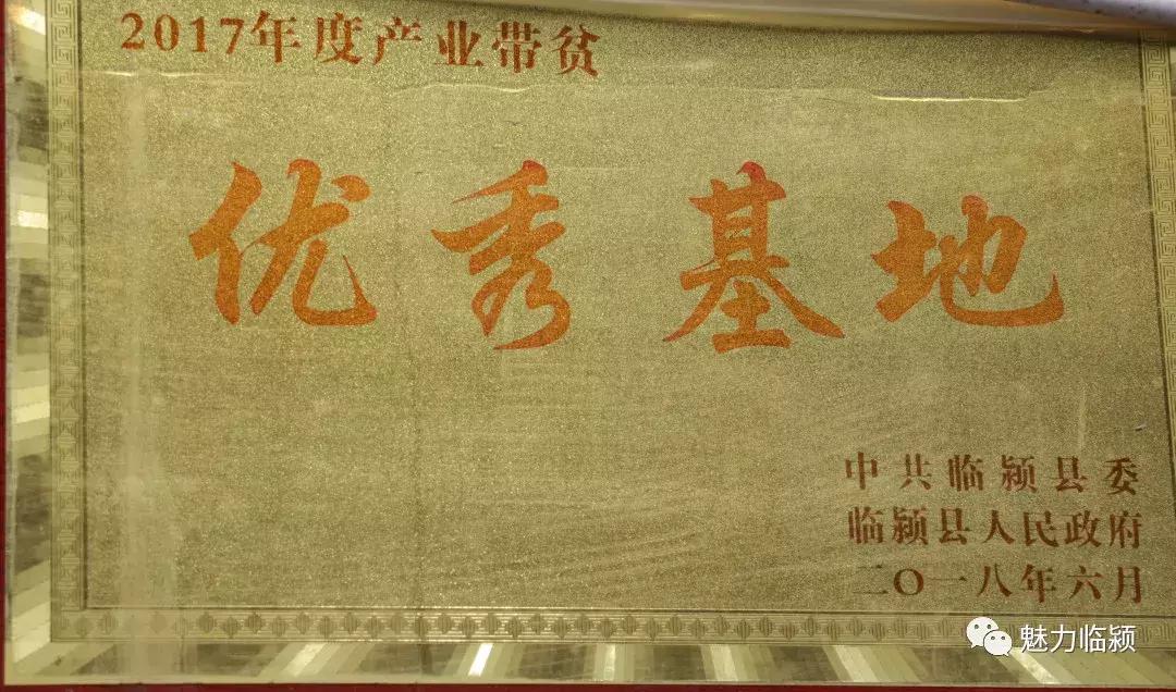 临颍：尚纪安计划5年把刘庄打造成河南最大的花卉种植交易基地