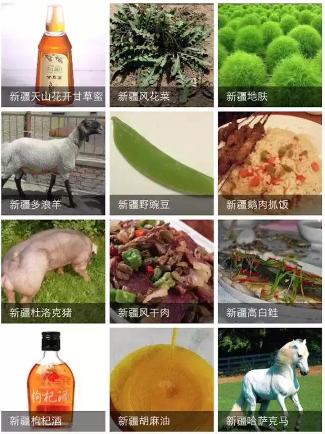 疆领鲜新疆特产,疆公子新疆特产