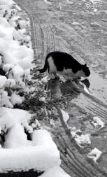 派派最新爆料,派派最新最真实报道