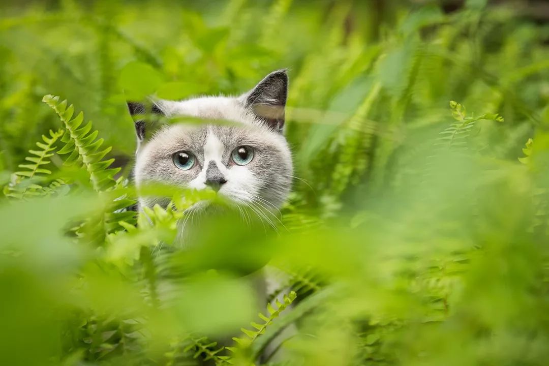 深圳富人日常生活真实记录,在深圳普通人最真实的生活状态