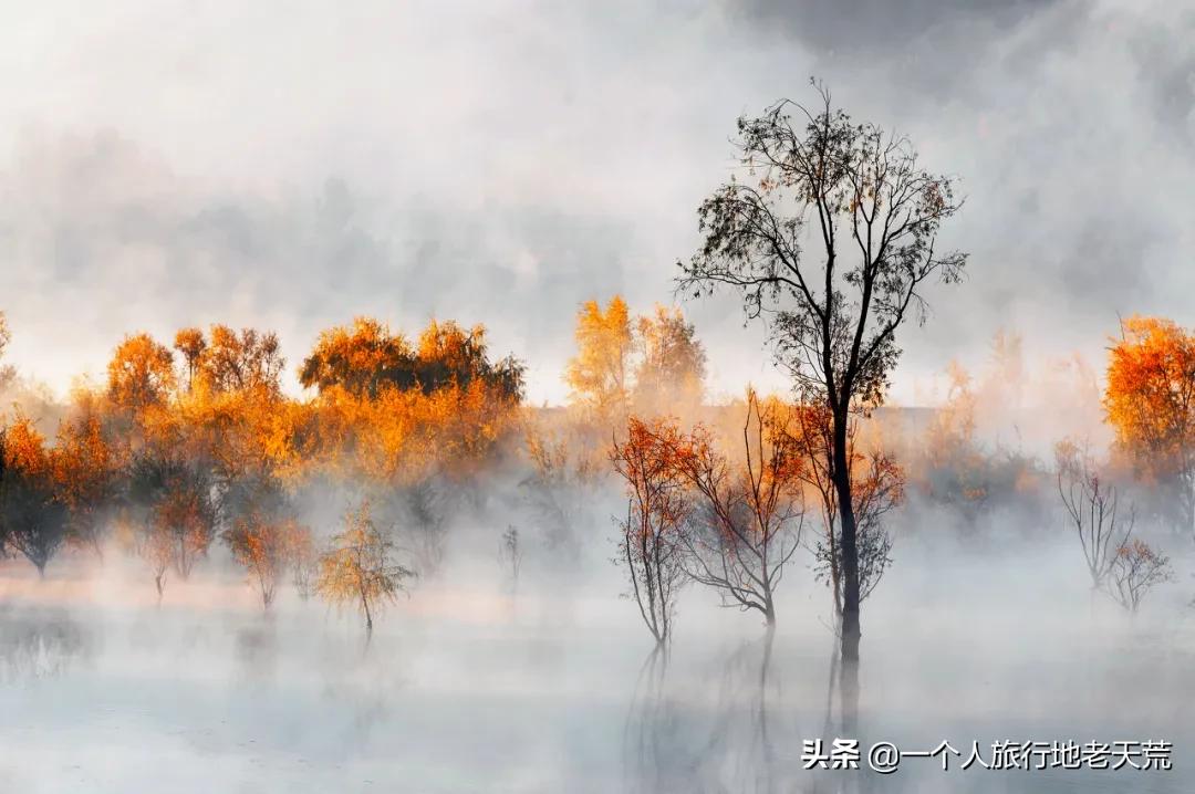 这才是12月最值得去的旅行地,11月12月去哪里旅游最美