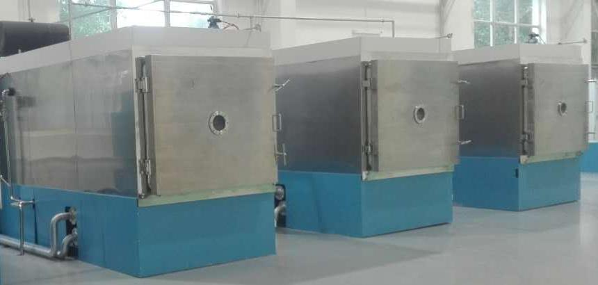 维多士冻干益生菌,九春堂冻干益生菌