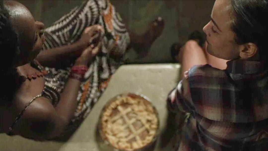 卢卡瓜达尼诺合作电影,卢卡瓜达尼诺电影风格