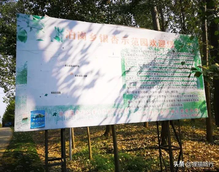 千里淮河第一镇,泊岗是安徽唯一的淮河岛乡吗