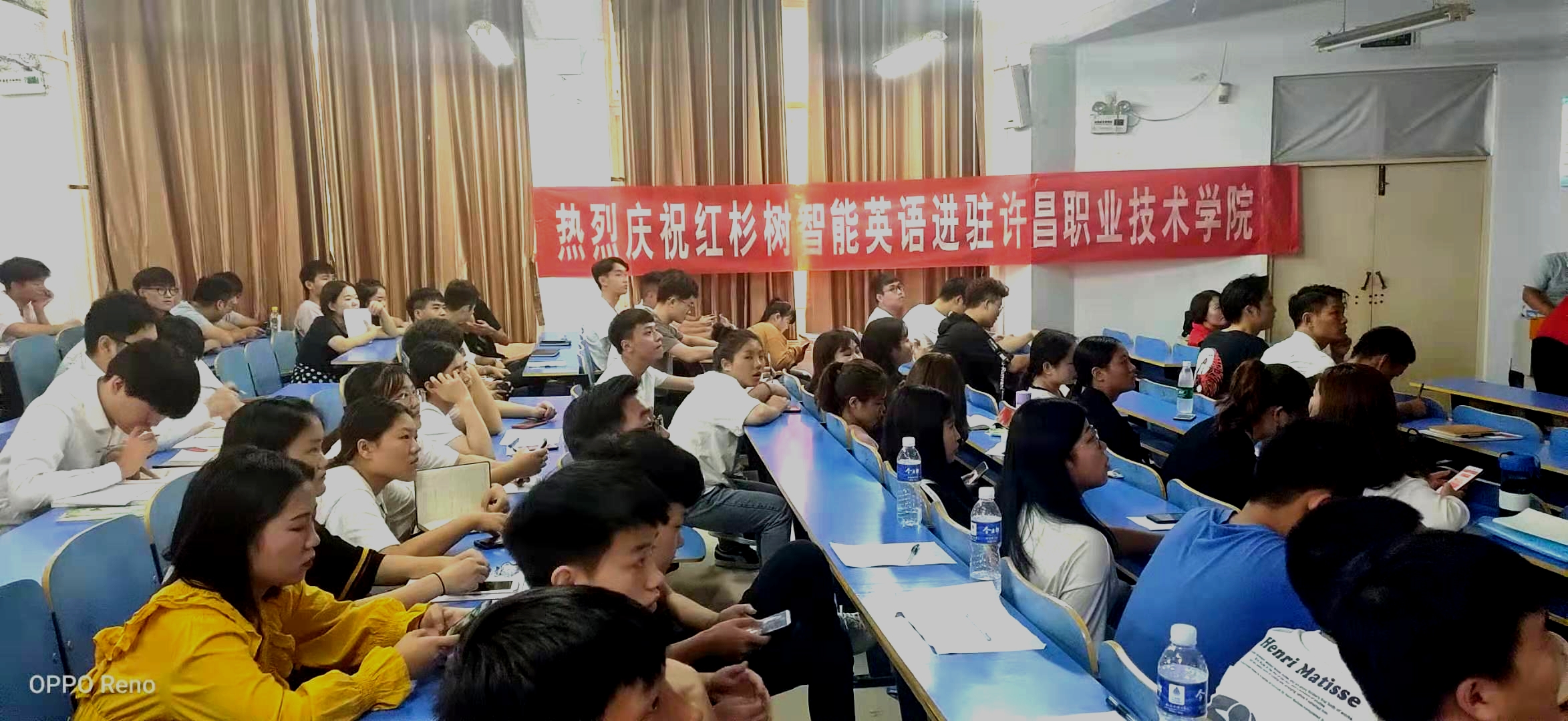 红杉树英语学习体验,英语红杉树课程