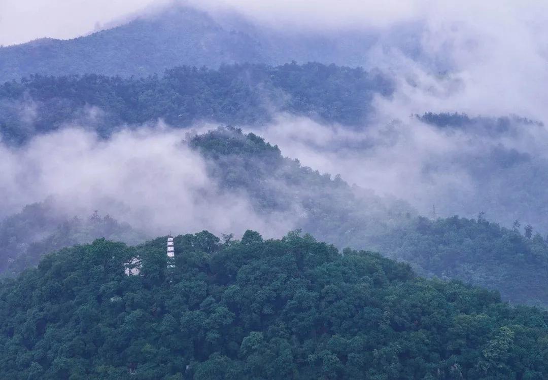 桐君养生包,桐君仁医中药包