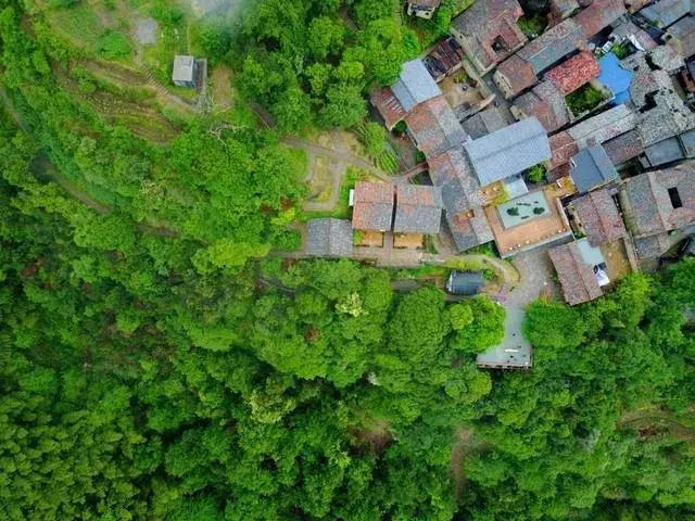浙江最具有设计感的民宿,松阳全球十大必睡民宿