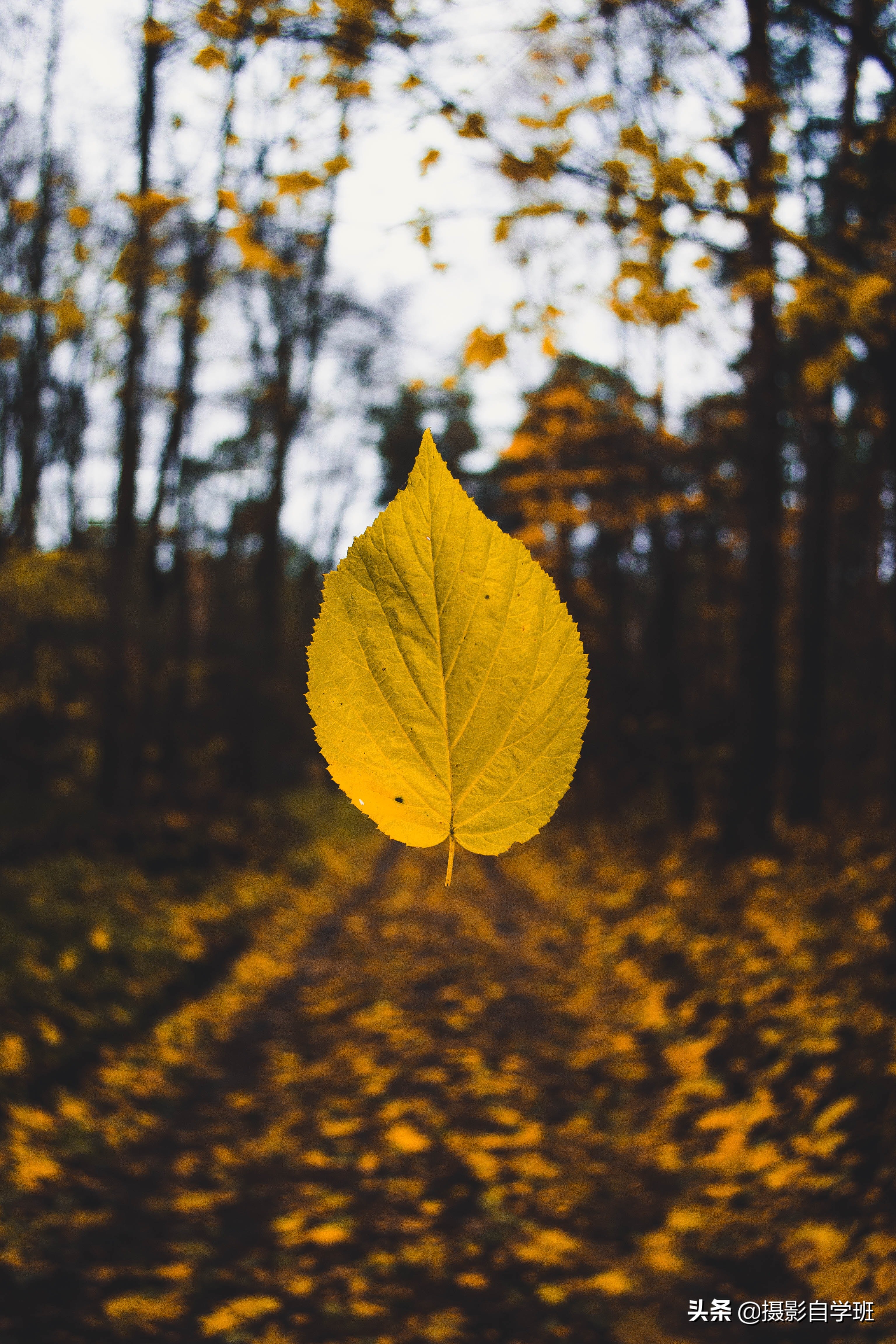 自学摄影全套摄影口诀表,记住摄影口诀想拍不好也难