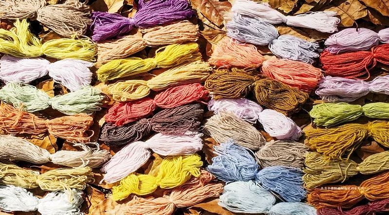 大自然美妙无比又生机勃勃的植物,植物染色的东西