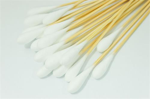 泰迪被咬伤鼻子出血怎么办,泰迪伤口愈合最快方法