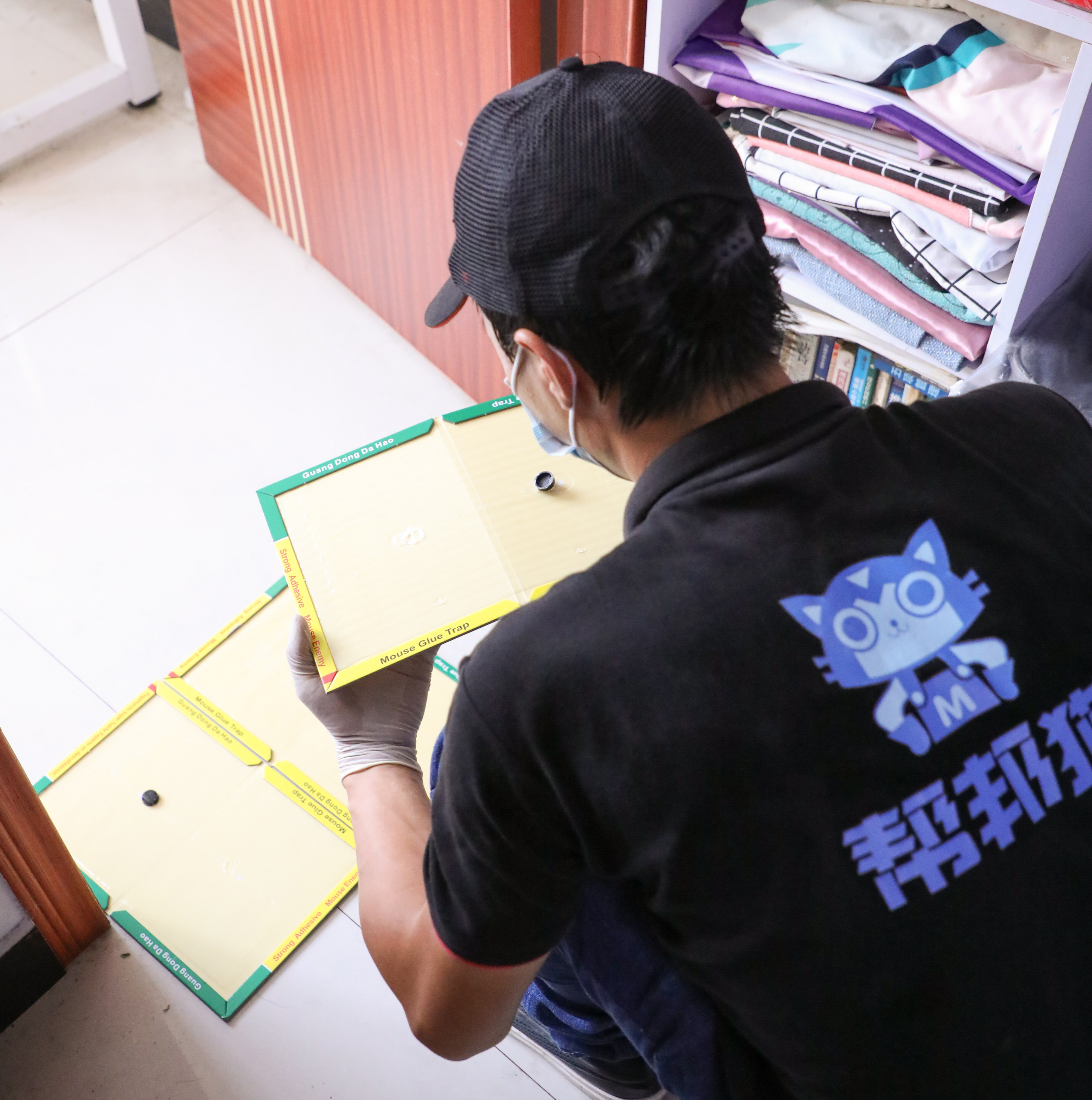 遂宁船山区灭鼠公司家庭灭鼠,专业灭鼠团队怎么灭鼠的