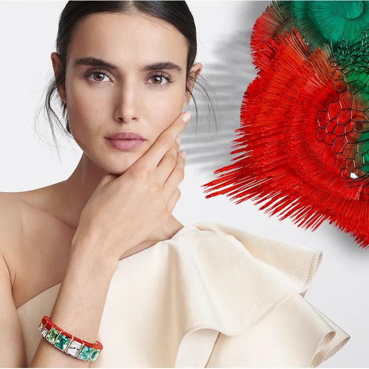 cartier高光 (cartier引进)