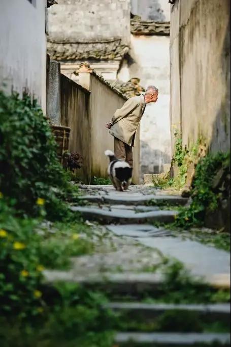 安徽春天美丽的视频,安徽美丽的春天