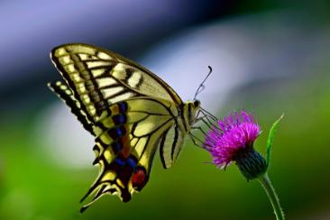 心理测试测你近期有什么惊喜,心理测试什么时候财运转好