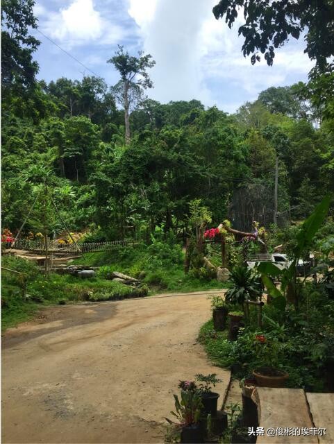 爱旅行的你，还在为深陷泰国游的“雷区”而烦恼吗？