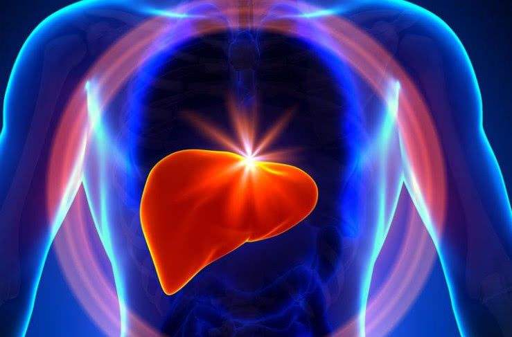 脂肪肝可以完全消除吗,脂肪肝但必须要喝酒怎么办