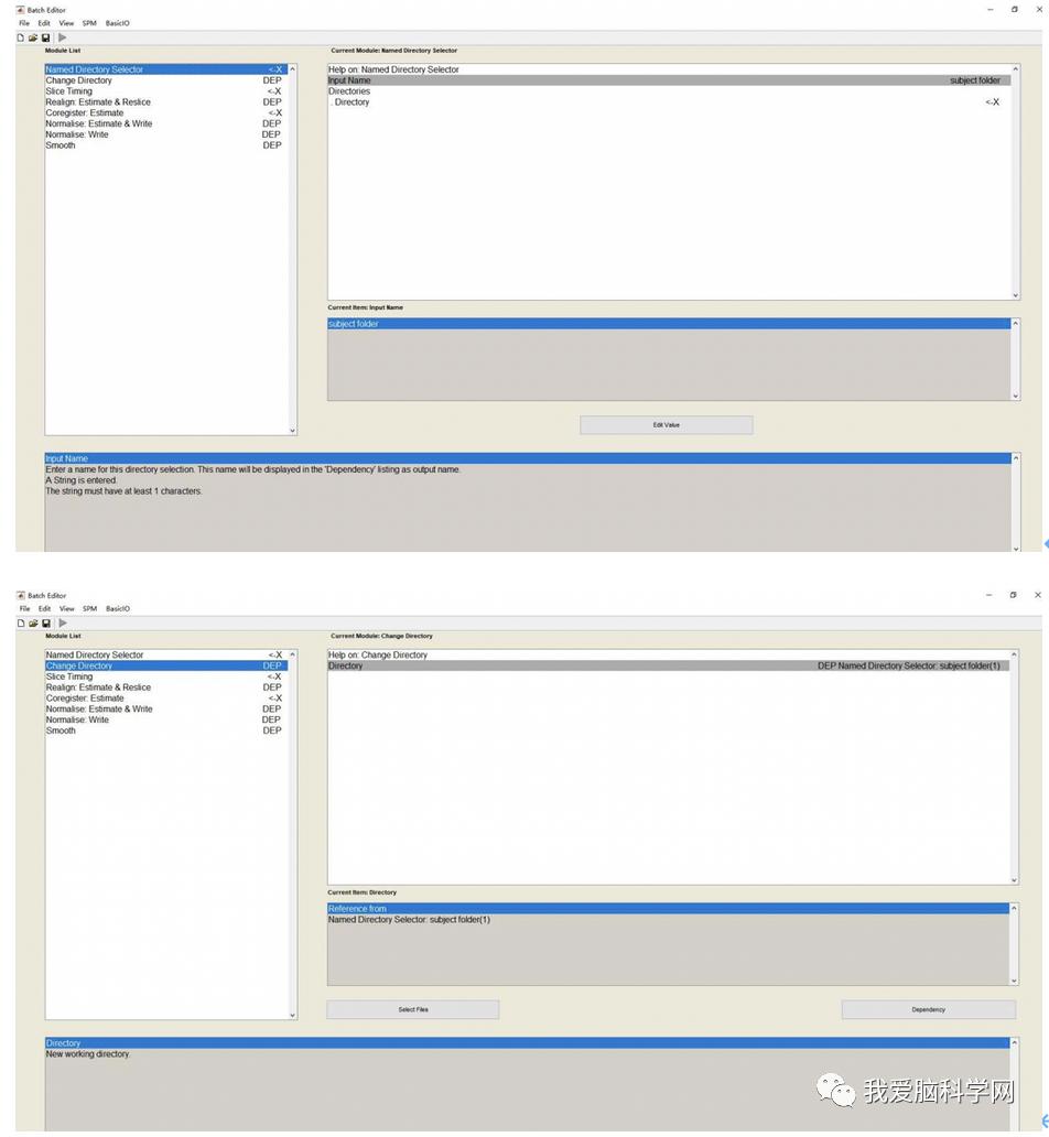 脑功能报告解读,颅脑mri信号讲解视频教程