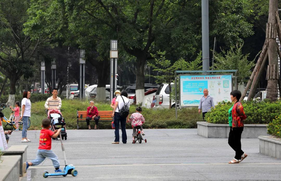 成都城南4条最美街道,成都天府新区风景优美的地方