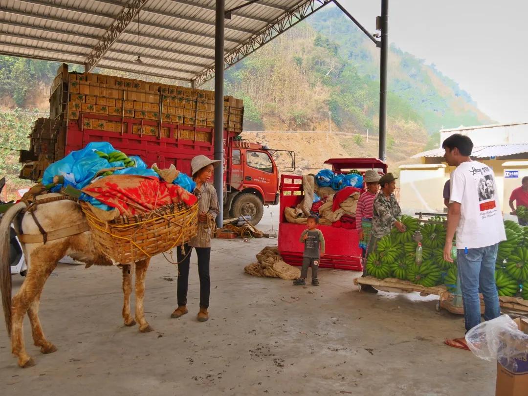 乡村振兴电商扶持政策,农村电商乡村振兴扶持政策