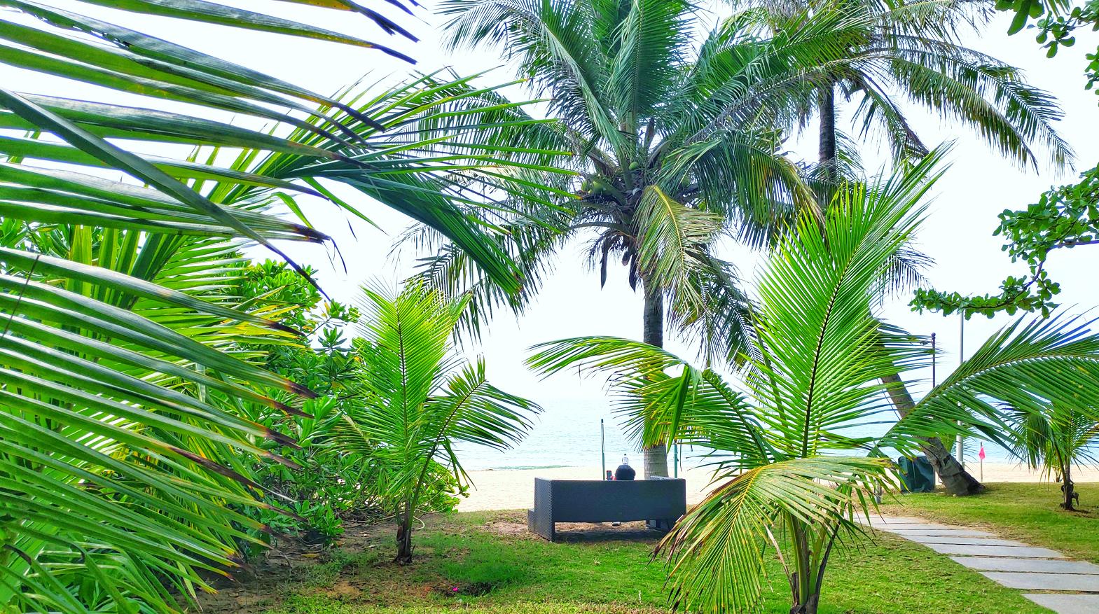 都是网红惹的祸,都是网红惹的祸完整版