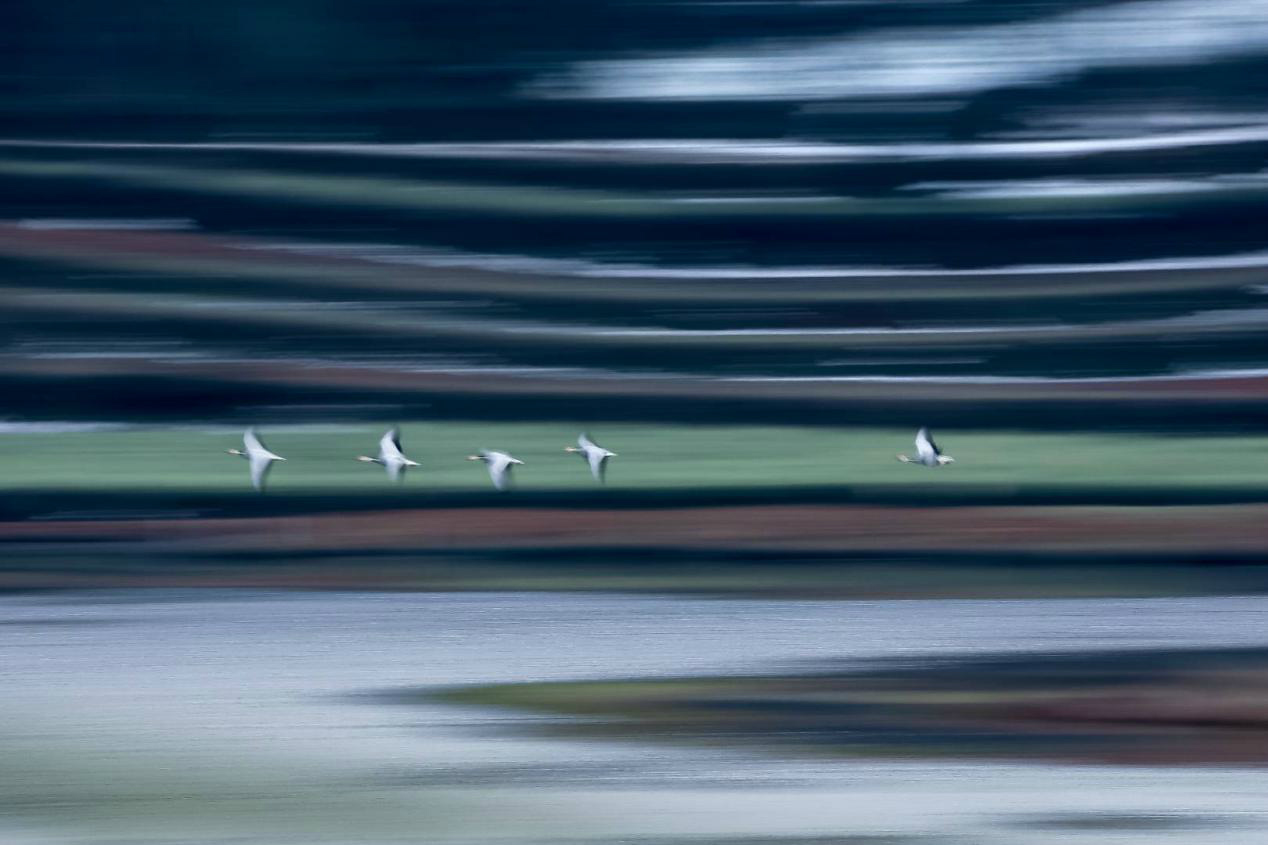 生态摄影师相机,生态摄影著名摄影家