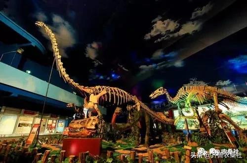 诸城是山东半岛区域性中心城市,山东半岛的小城诸城