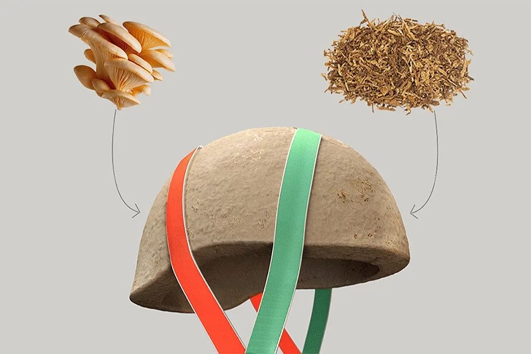 绿色设计就是环保设计,绿色设计理念