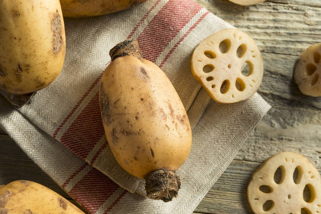 七孔莲藕和九孔莲藕哪种适合煨汤 (莲藕分七孔和九孔各自特点是什么)