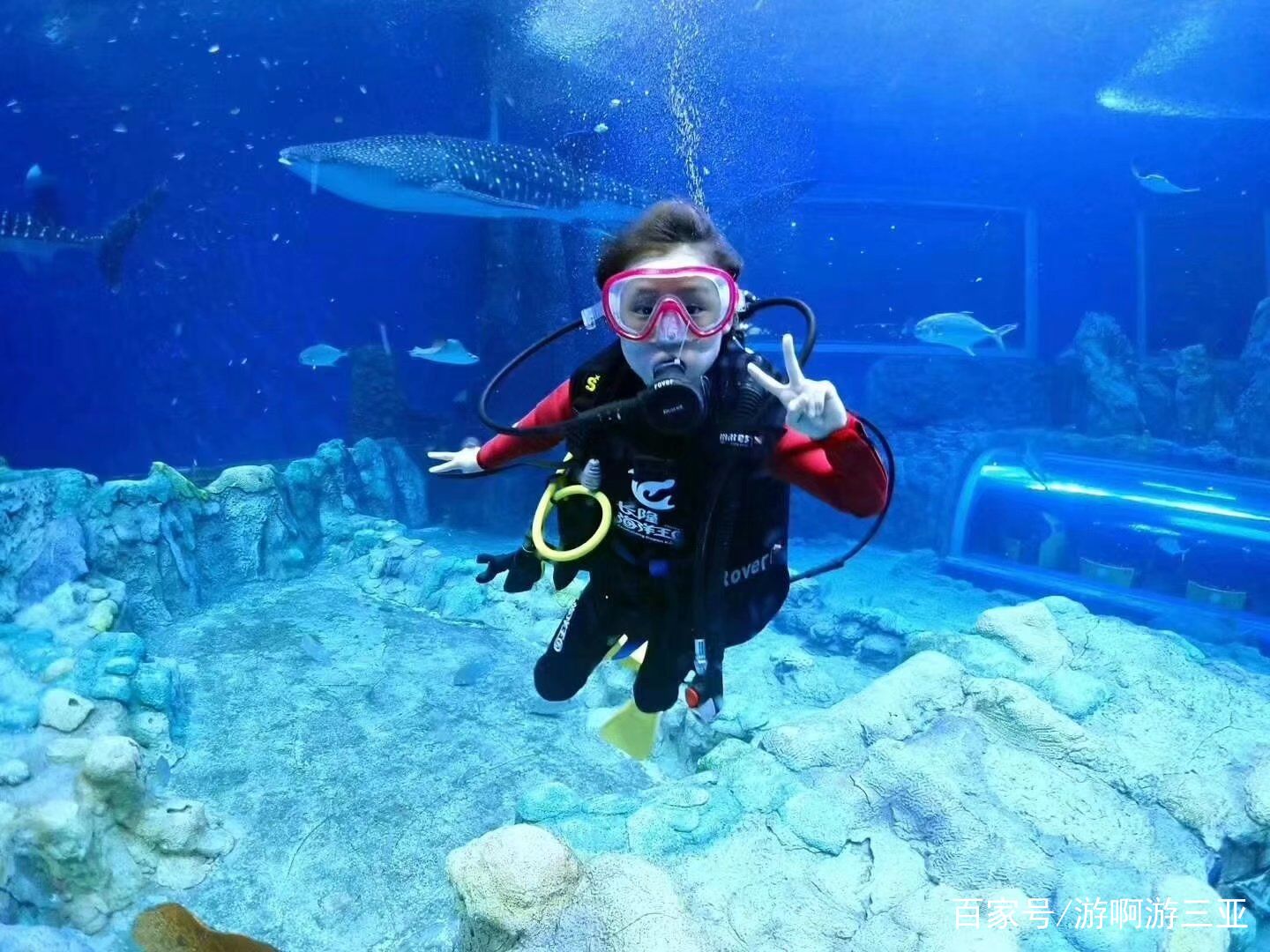 在三亚潜水需要带什么,在三亚玩潜水哪里好玩