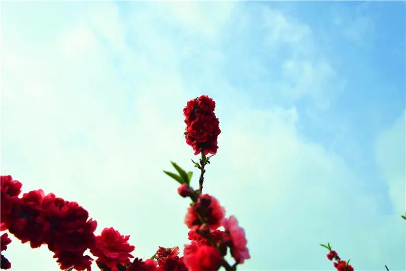 瞧!这花花世界谁不爱