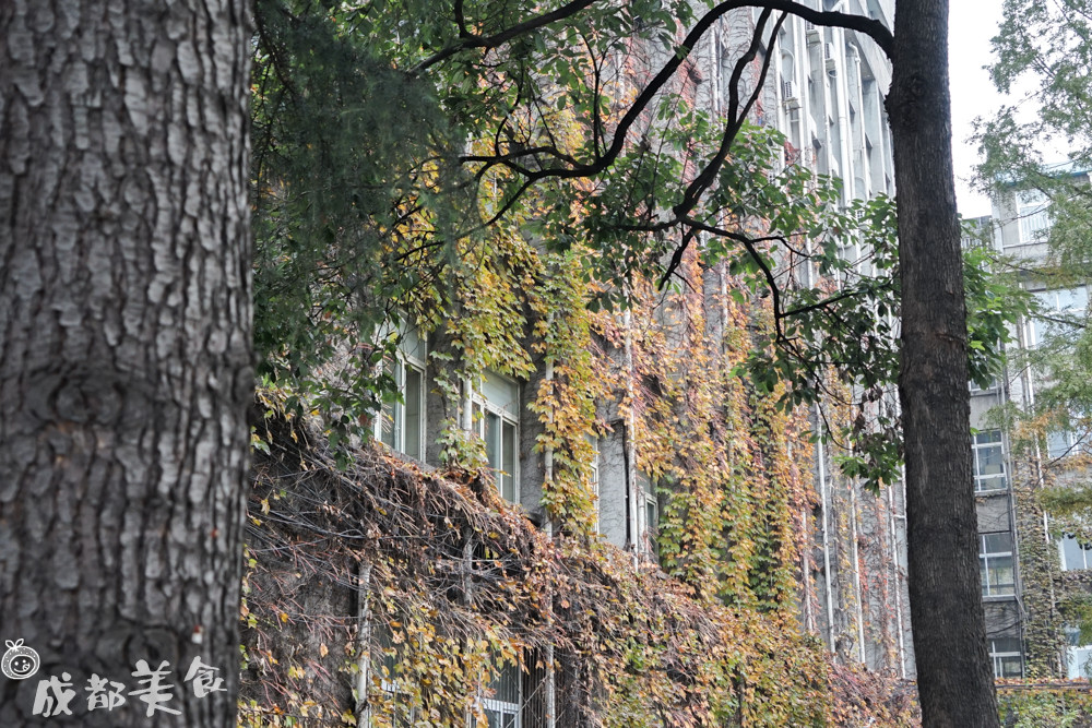 被学生吐槽最多的中医大老校区,没想到还是个“宝藏地”