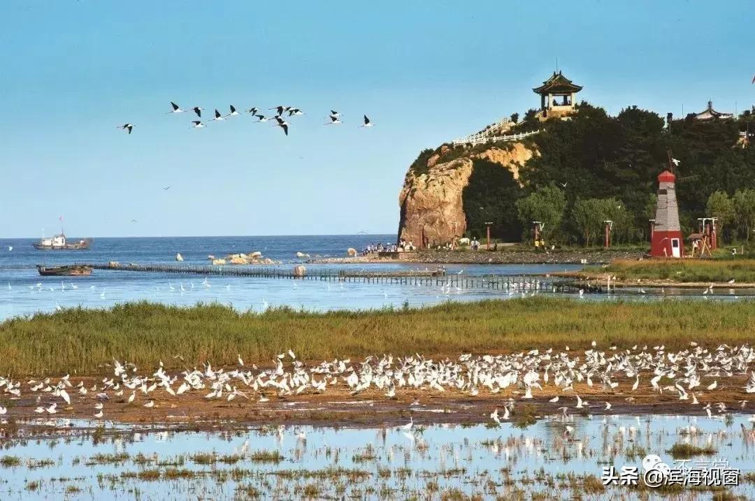 从天津高铁1小时可以达到的景点,天津高铁周边2-3天短途旅游