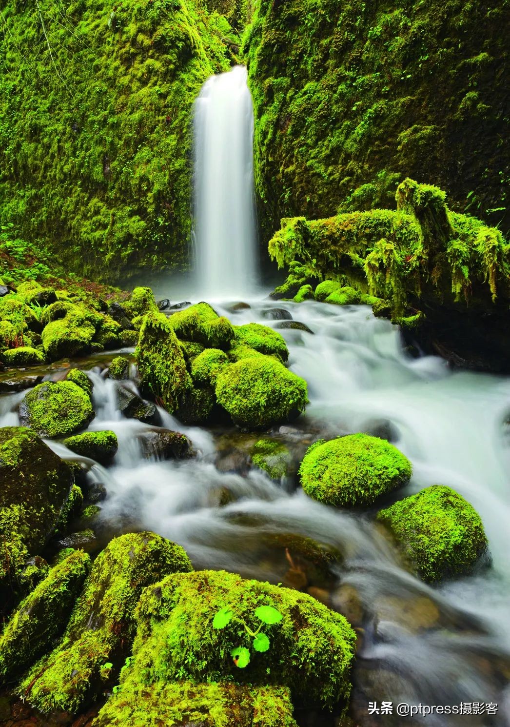 光圈的妙用你真的会调相机光圈吗,相机光圈怎么调都是最大光圈