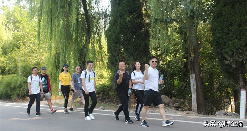 赋企猫怎么样,赋企猫官网