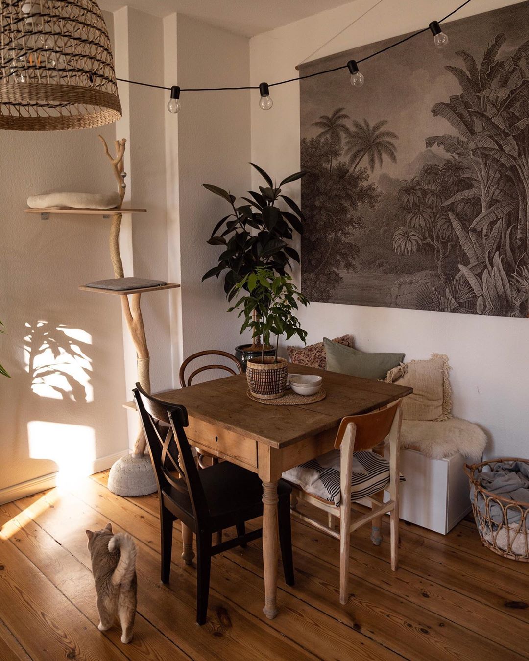 住森林里的体验,住在3200亩森林里是一种什么体验