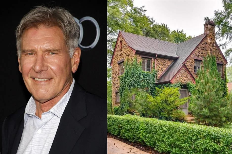 安吉丽娜朱莉麦当娜,安吉丽娜朱莉从小到大